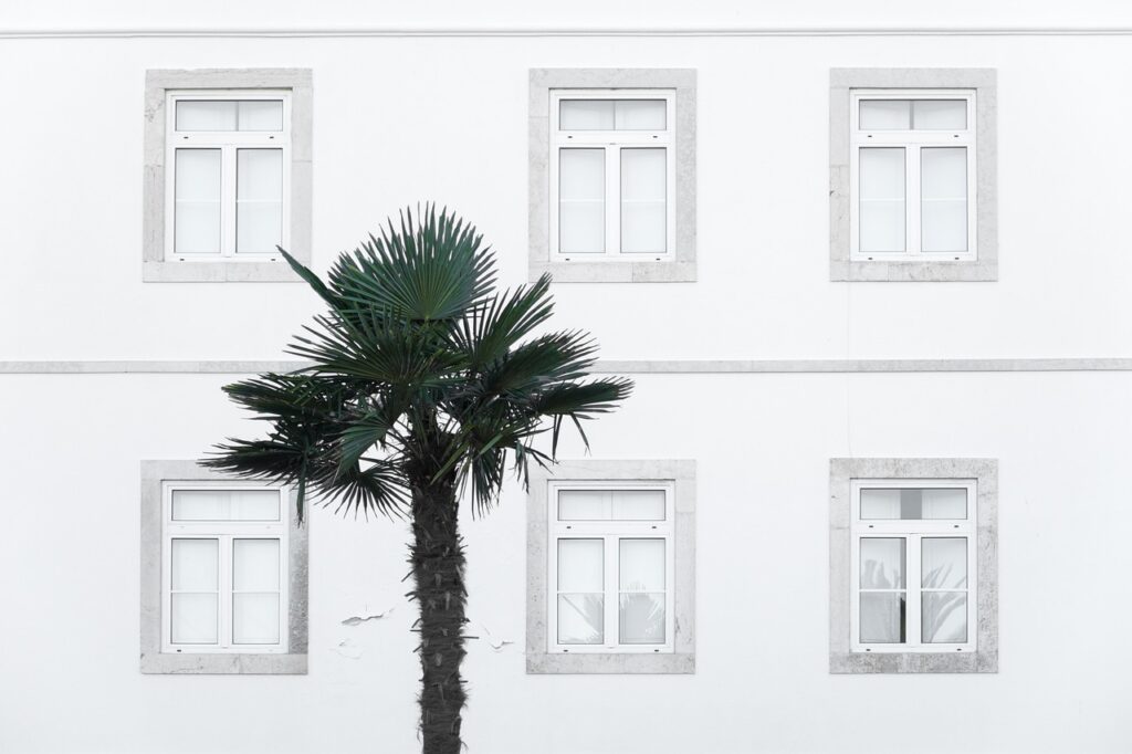 Ventanas mixtas de madera y aluminio, ¿por qué son la mejor opción para tu hogar? ventanas mixtas de madera y aluminio